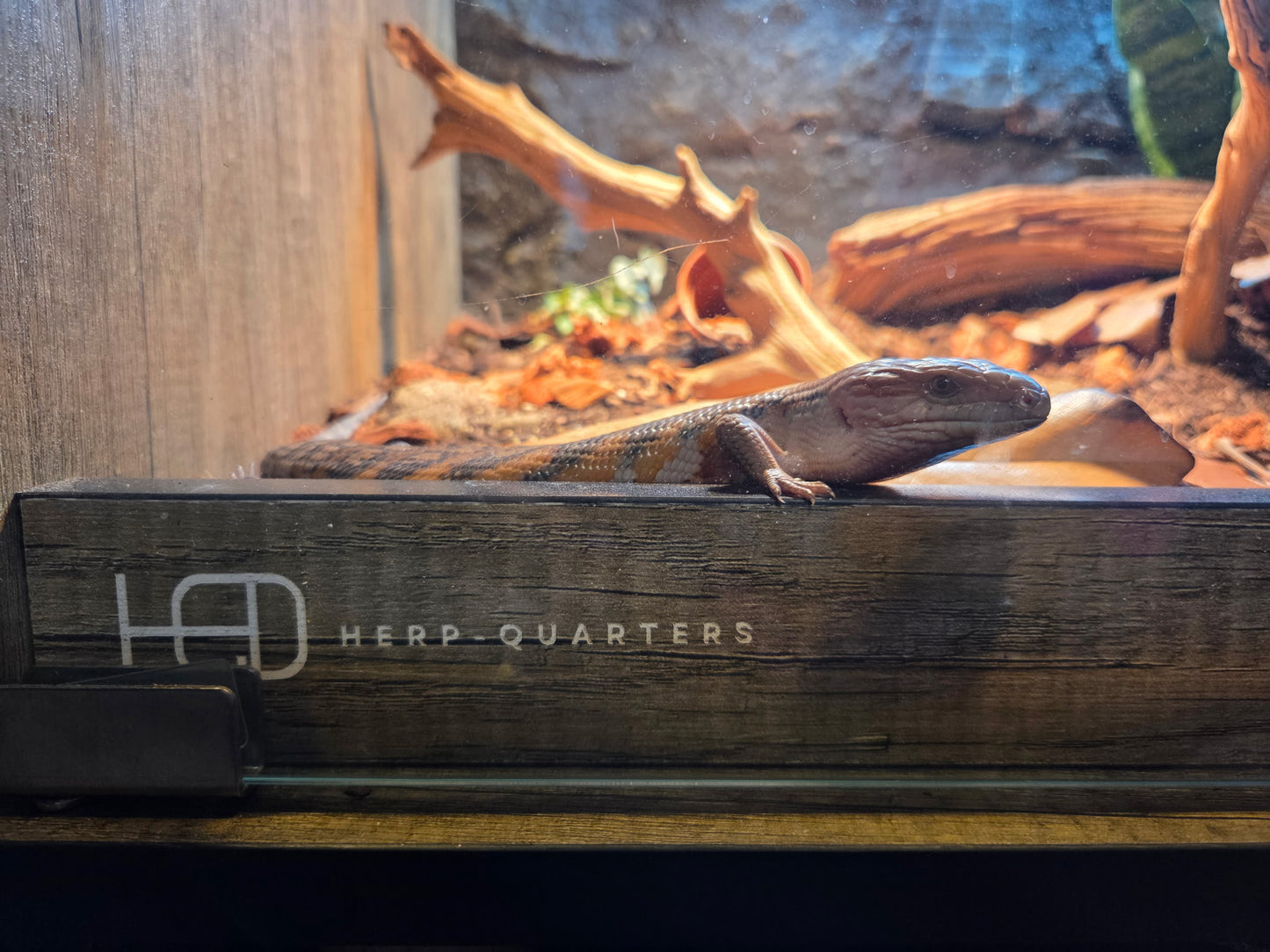 Modern Reptiles Tortoise Enclosure Heating Cage Lizard Snake Bearded Dragon