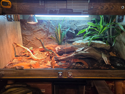 Modern Reptiles Tortoise Enclosure Heating Cage Lizard Snake Bearded Dragon