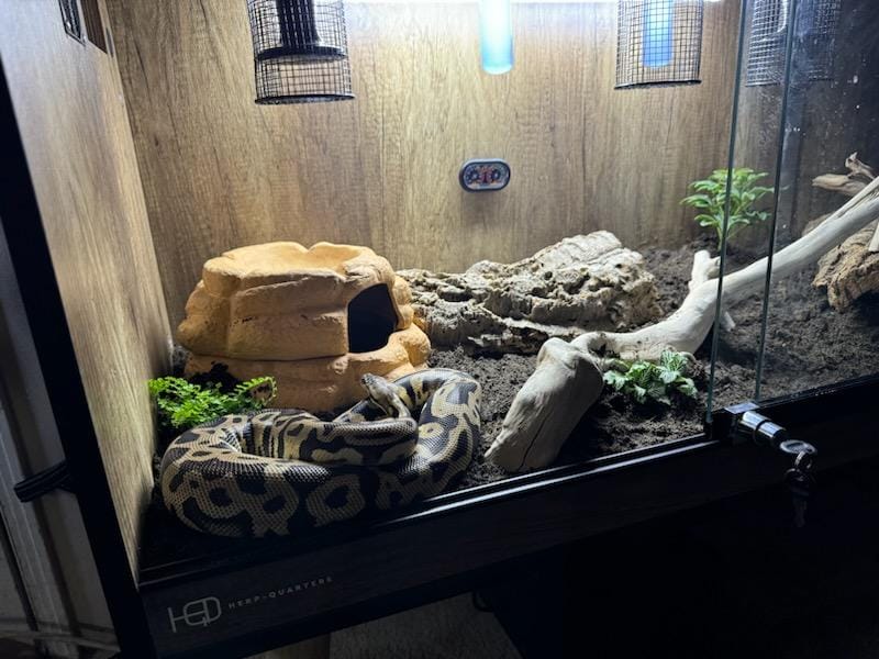 "Expandable" Wooden Digital Reptiles Turtle Tortoise Enclosure Heating Cage Lizard Snake 39" 70 gallons